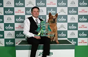 Crufts 2026 Best Of Breed Prints: Mark Plummer from Lincoln, with Rig