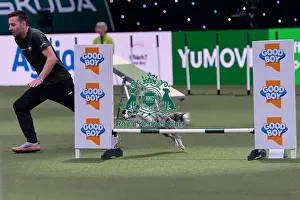 Small Championship Agility Final Prints: Martin Reid with Selfie Competing in the Small Championship Agility Final