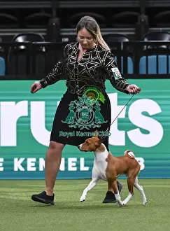 Basenji Prints: Martyna Domin, from Poland, with Ciastek