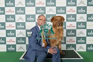 Crufts 2025 Prints: Matthijs Bos from Bannow, Ireland with Izzy