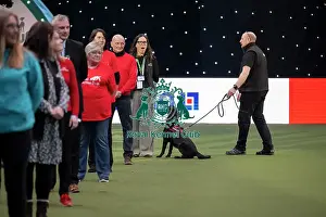 Crufts 2026 Main Arena Prints: Medical Detection Dog Display