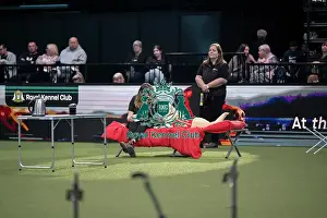 Crufts 2026 Main Arena Prints: Medical Detection Dog Display