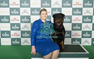 Rottweiler Prints: Michaeella Dunhill-Hall from Nottinghamshire