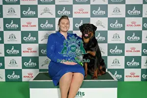 Crufts 2026 Best Of Breed Prints: Michaella Dunhill-Hall, from Cumber Park