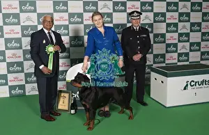 Rottweiler Prints: Michaella Dunhill-Hall from Nottinghamshire