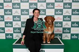 Retriever Nova Scotia Duck Tolling Prints: Michelle Elkin from Kings Langley with Quentin