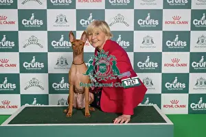 Crufts 2026 Best Of Breed Prints: Michelle Farleigh from Exmouth