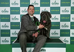 Official photos from Crufts 2023: Mike Evans from Boston with Unica, a Neapolitan Mastiff, which was the Best of Breed winner today