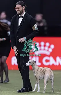 Best In Show Prints: Miuccia, a Whippet, owned by Giovanni Liguori