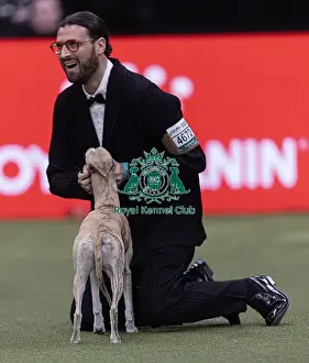 Best In Show Prints: Miuccia, a Whippet, owned by Giovanni Liguori