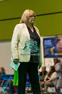 Terrier Group Prints: Mrs P Gray during the judging of the Norwich terriers open bitch class today (Thursday 06/03/25)