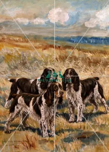 Mrs. Santers English Springer Spaniels Mrs. Santers English Springer Spaniels