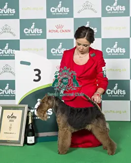 Third Place Prints: Ms C Cole with Ch Perrisblu The Phantom