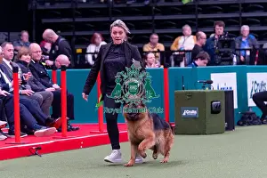 German Shepherd Dog Prints: Nathalie de Paule and Axelle Trentenacre from Paris