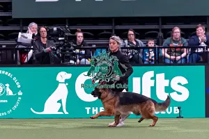 German Shepherd Dog Prints: Nathalie de Paule and Axelle Trentenacre from Paris