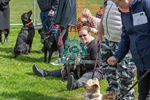 21st April 2024 Prints: Newark 21st April 2024 Most Handsome Dog Class