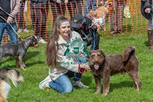 21st April 2024 Prints: Newark 21st April 2024 Most Handsome Dog Class
