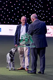 Award Prints: Nick Johnson with Louis, an English Setter-cross