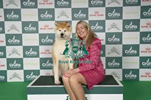 Japanese Akita Inu Prints: Nicola Duffield from Hodnet Shropshire with Hiro