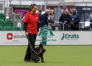 Crufts 2026 Rally Prints: Nicola Mueller with Mollie
