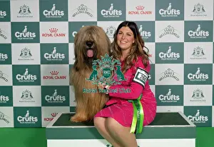 Crufts 2026 Best Of Breed Prints: Nikki Keogh from Wales, with Wolfie
