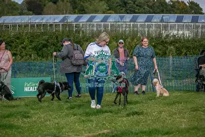 North East Dog Festival 2024 Prints: North East Dog Festival 2024 Candid Shot Prettiest Crossbreed Bitch Class