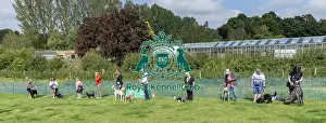 North East Dog Festival 2024 Prints: North East Dog Festival 2024 Most Handsome Crossbreed Dog Class