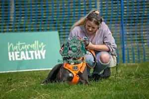 North East Dog Festival 2024 Prints: North East Dog Festival 2024 Most Handsome Crossbreed Dog Class