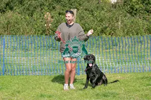 North East Dog Festival 2024 Prints: North East Dog Festival 2024 Most Handsome Crossbreed Dog Class