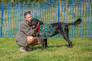 North East Dog Festival 2024 Prints: North East Dog Festival 2024 Most Handsome Crossbreed Dog Class