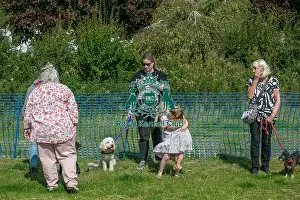 North East Dog Festival 2024 Prints: North East Dog Festival 2024 Scruffts Heats Judging