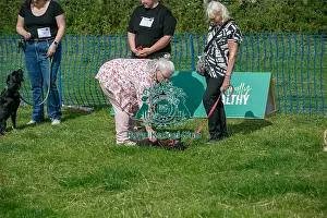 North East Dog Festival 2024 Prints: North East Dog Festival 2024 Scruffts Heats Judging