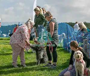 North East Dog Festival 2024 Prints: North East Dog Festival 2024 Scruffts Heats Prettiest Crossbreed Bitch Class