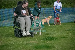 North East Dog Festival 2024 Prints: North East Dog Festival 2024 Scruffts Heats Prettiest Crossbreed Bitch Class