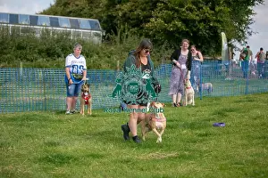 North East Dog Festival 2024 Prints: North East Dog Festival 2024 Scruffts Heats Prettiest Crossbreed Bitch Class