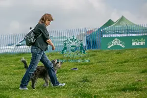 North East Dog Festival 2024 Prints: North East Dog Festival 2024 Scruffts Heats Scruffts Family Crossbreed Of The Year Competition