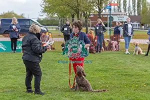 21st April 2024 Prints: Nottinghamshire. Good Citizen Dog Scheme Class