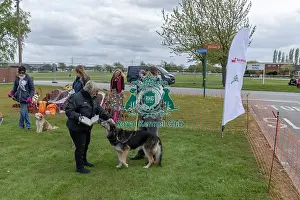 21st April 2024 Prints: Nottinghamshire. Judging Golden Oldie Class Newark