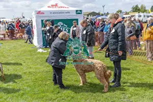 21st April 2024 Prints: Nottinghamshire. Judging Most Handsome Dog Class