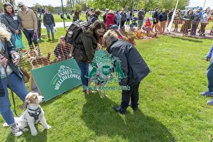 21st April 2024 Prints: Nottinghamshire. Judging Most Handsome Dog Class