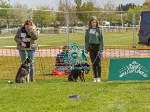 21st April 2024 Prints: Nottinghamshire. Newark 21st April 2024 Good Citizen Dog Scheme Class