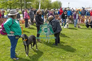 21st April 2024 Prints: Nottinghamshire. Newark Scruffts Heat Judging