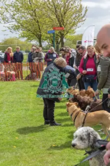 Nottinghamshire. Newark Scruffts Heat Judging