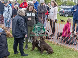 21st April 2024 Prints: Nottinghamshire. Newark Scruffts Heat Judging