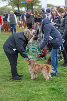 21st April 2024 Prints: Nottinghamshire. Prettiest Bitch Class Judging