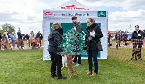 Nottinghamshire. Prettiest Bitch Class Judging