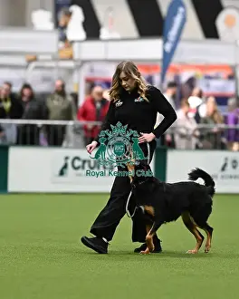 Obedience Prints: Obedience