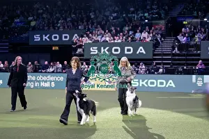 Saturday Prints: Obedience Champion Display