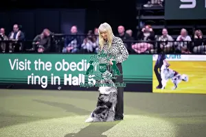 Saturday Prints: Obedience Champion Display