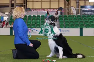 Crufts 2024 Official Photos By Robert Simpson Prints: Obedience Champion (Dog) Lorna with her Border Collie Lenny